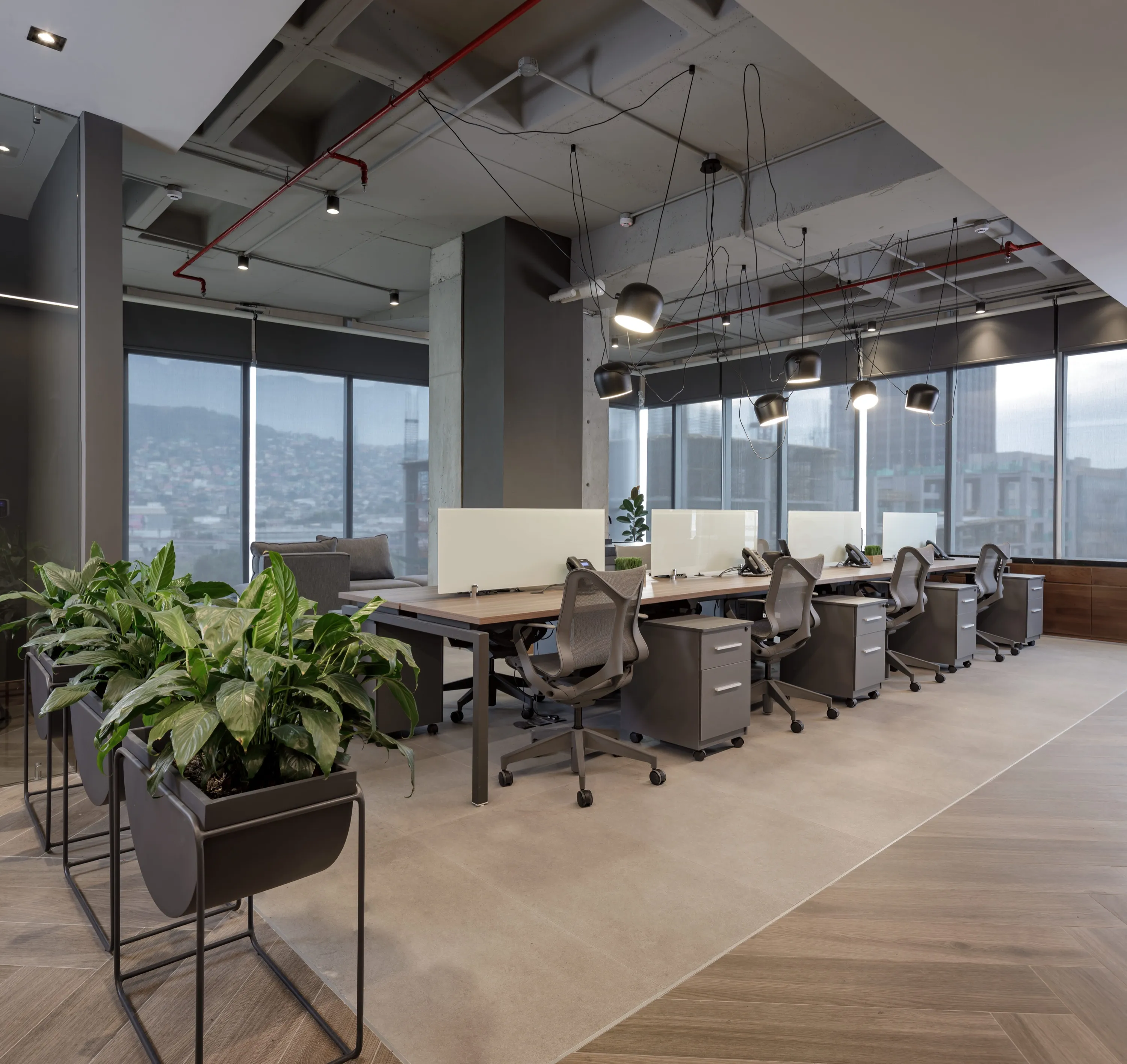 Oficinas EntregaX: vista 01 del proyecto